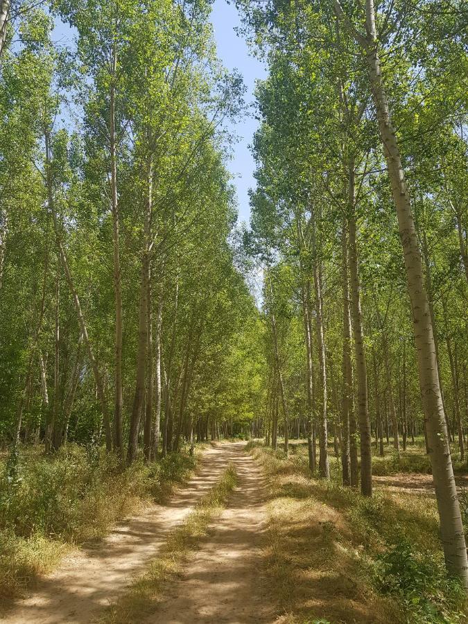 Villalba Baja Casa Rural Casa Clemen מראה חיצוני תמונה